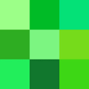 Meet your Posher, Anne